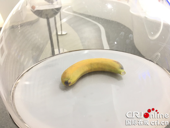 【CRI專稿 列表】踐行生態發展 “騰籠換鳥”重慶永川先行【內容頁標題】【美麗中國長江行】踐行生態發展 “騰籠換鳥”永川先行