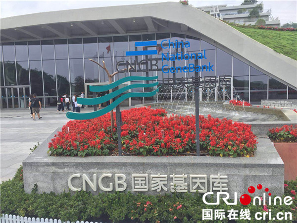 圖片默認標題_fororder_總部位於深圳的中國國家基因庫_副本_副本