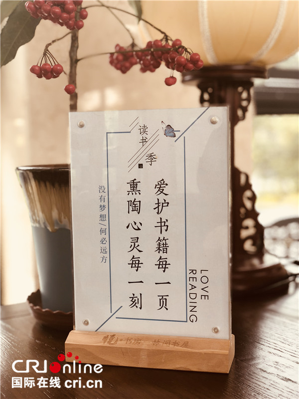 海外大V中國行：合肥初印象 均衡發展的城市