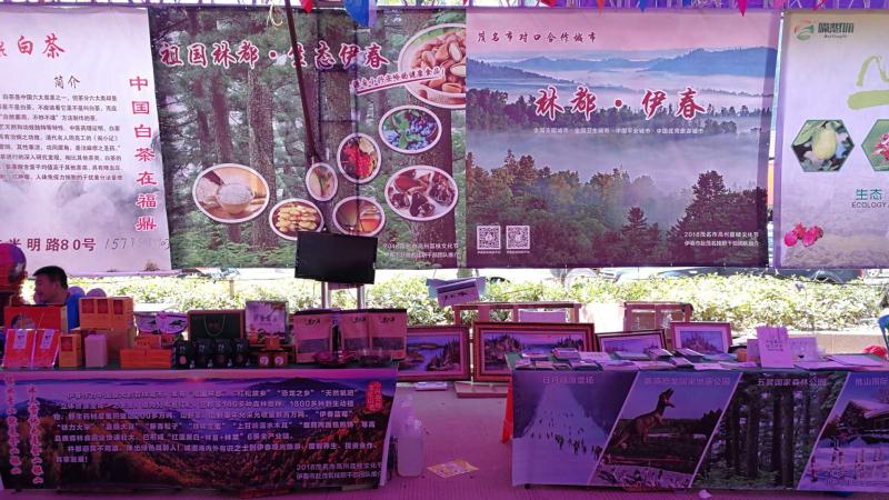 林都伊春資源特産閃耀嶺南荔枝文化節