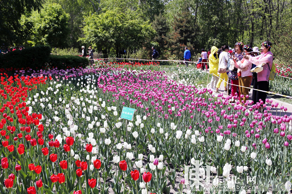 哈爾濱市現有公園42個近九成免費開放