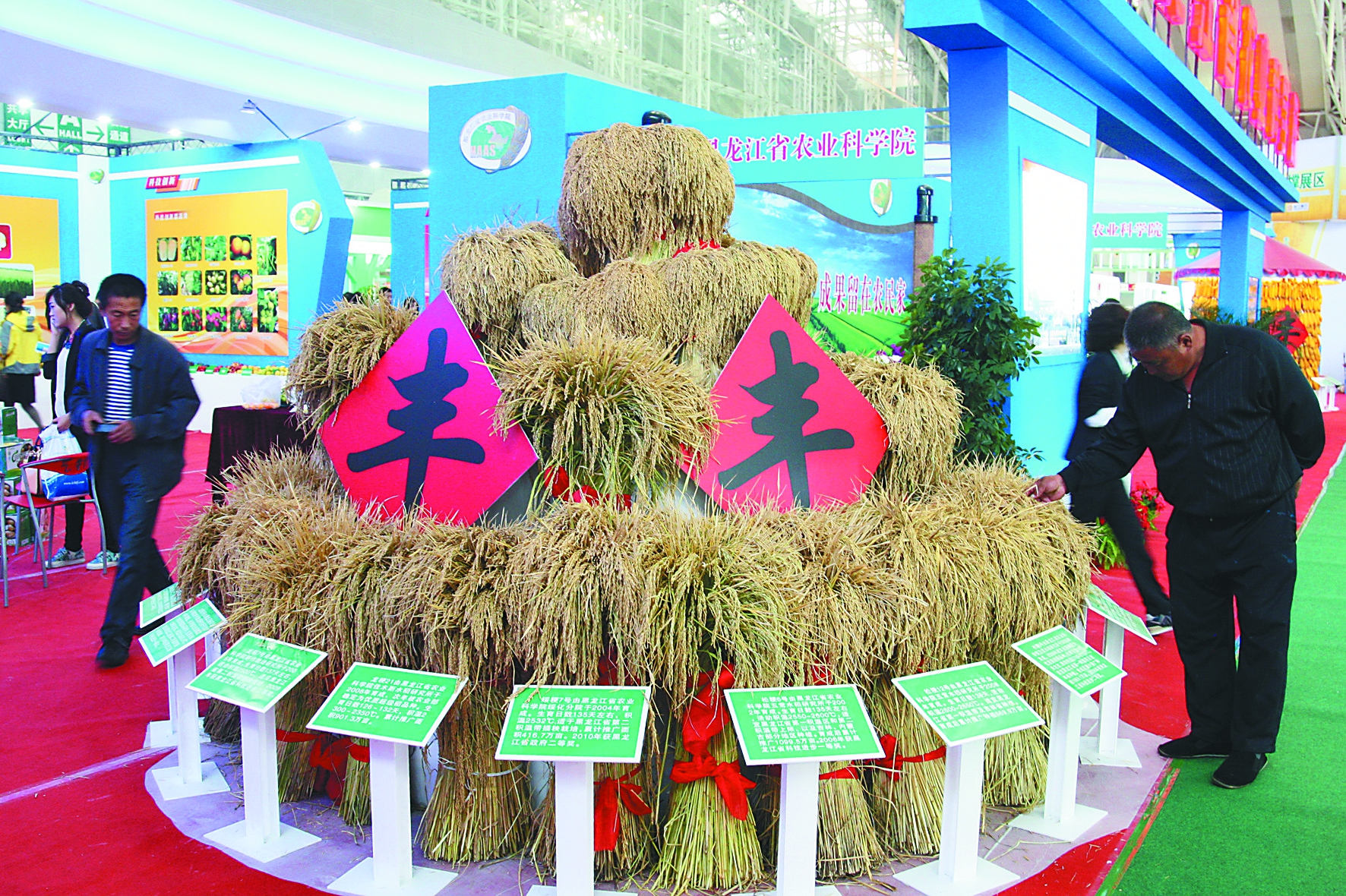 龍江大米以鑽石品質成就金字招牌