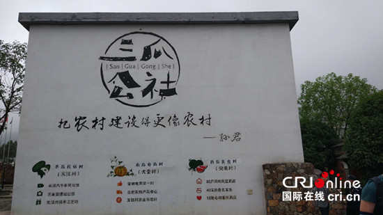 圖片默認標題_fororder_1_副本