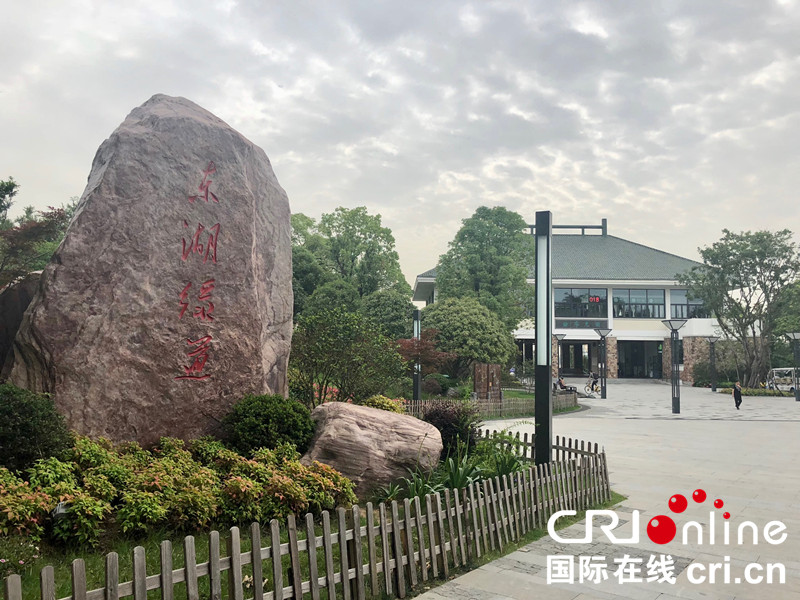 波蘭大V手記——在江城感受綠色生活
