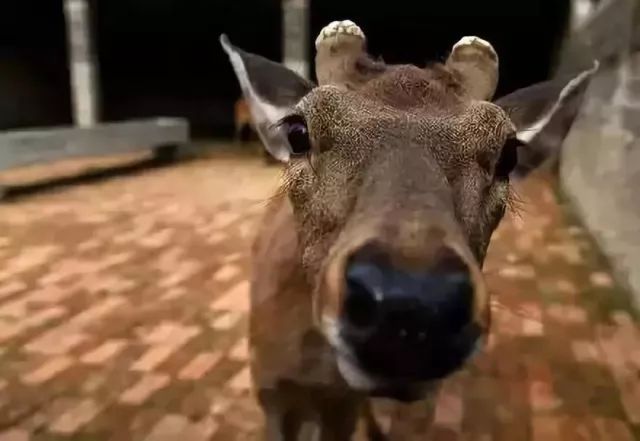 【三秦大地 西安】六一，我們來這裡蹭個兒童節……