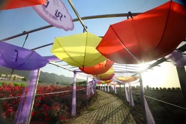 【三秦大地 西安】六一，我們來這裡蹭個兒童節……