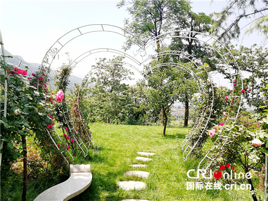 【三秦大地 西安+移動列表】西安休閒旅遊新去處 長安區玫瑰小院開園