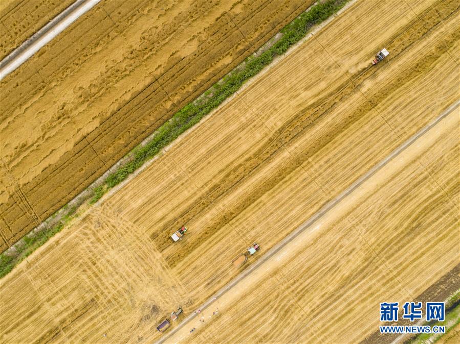 江蘇：田園畫卷
