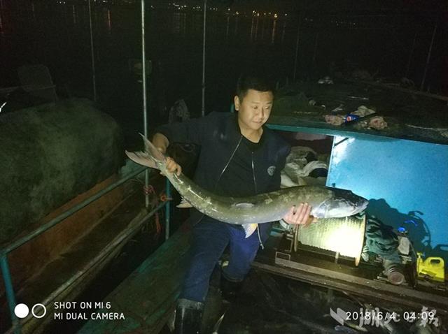 湖北查獲近年最大一起非法捕撈案