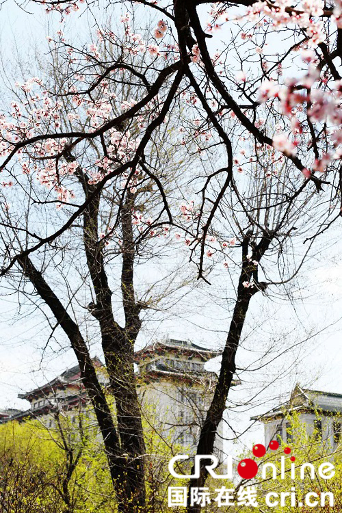 【黑龍江】哈爾濱醫科大學：計劃招生1750人 新增法醫學專業