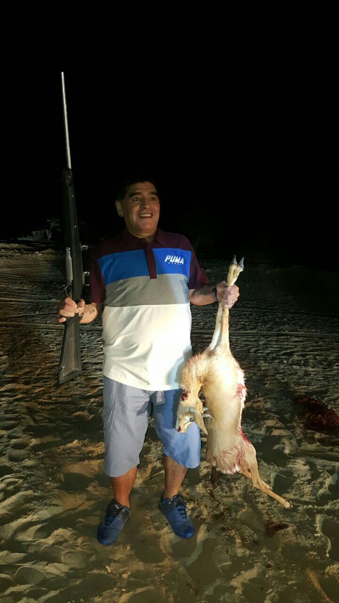 體壇獵人:馬龍弓弩射熊滅鹿 德撲冠軍炫裝備
