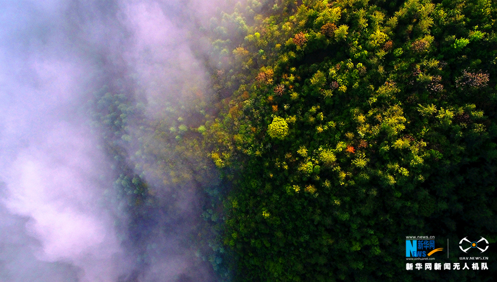 【渝情渝景】無人機探秘紅池壩之晨