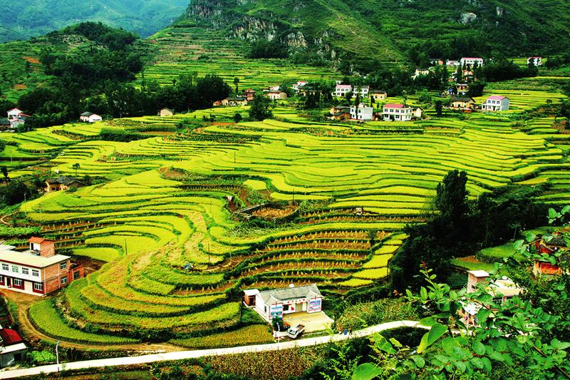 【旅遊 加顯示圖＋三秦大地 西安】鄉村旅遊促進鄉村振興的陜西探索