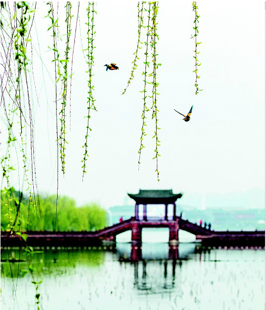 集千年靈氣 聚一湖詩情