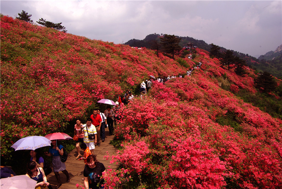 大美黃岡