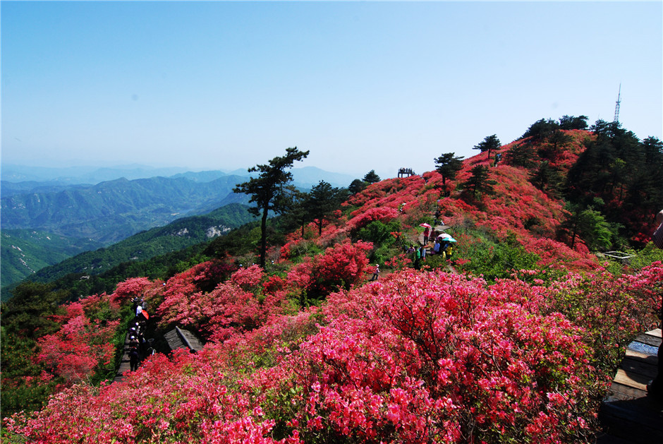 大美黃岡