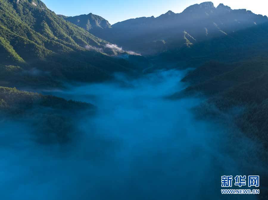 航拍神農架紅坪畫廊 晨霧瀰漫滿目清涼