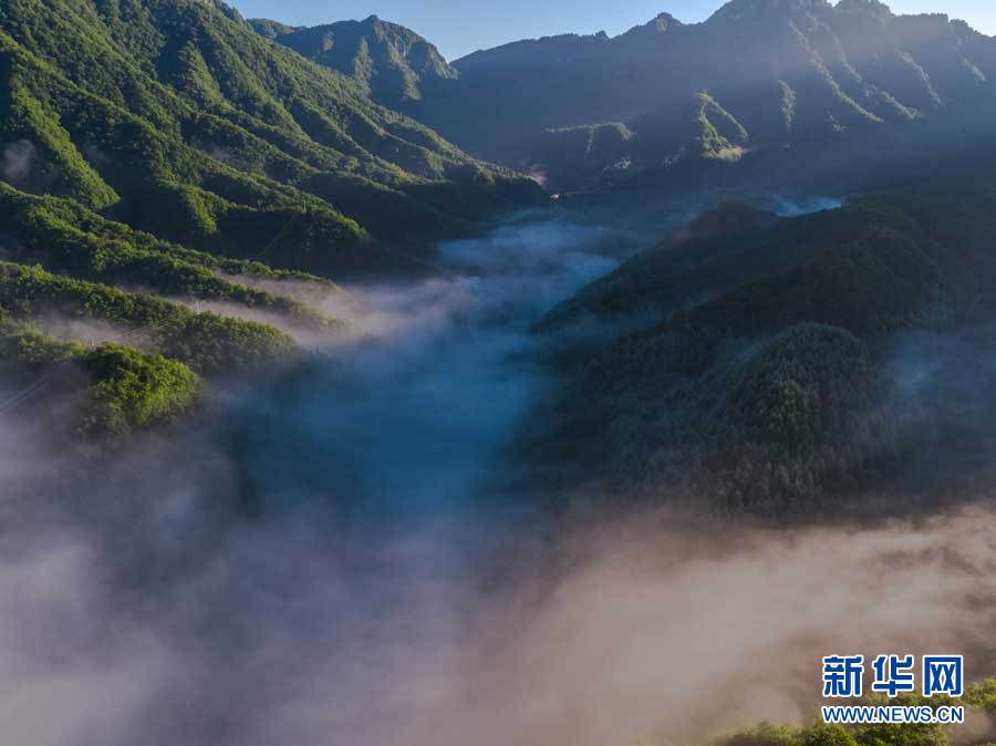 航拍神農架紅坪畫廊 晨霧瀰漫滿目清涼