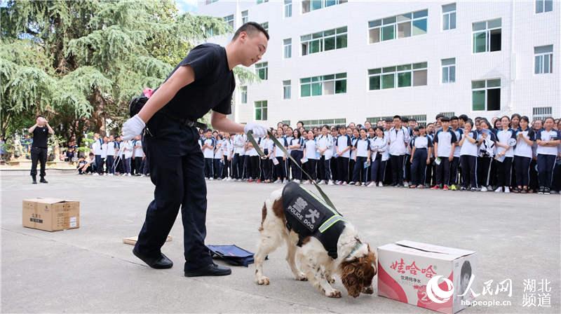 湖北房縣：“6·26”禁毒宣傳活動豐富多彩