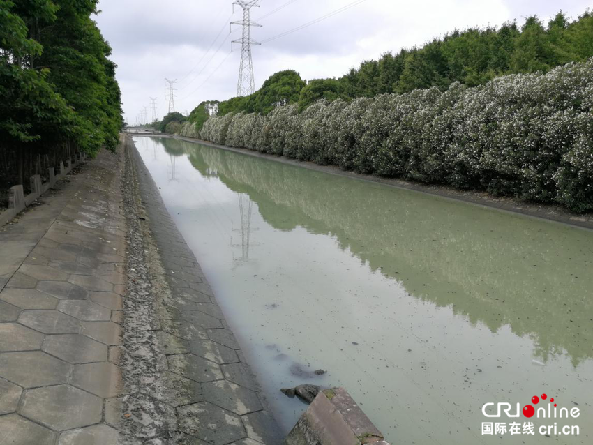 (原創 本網專稿 三吳大地南通 移動版)南通如東加大力度整治永豐河河流污染 (原創 本網專稿 三吳大地南通 移動版)南通如東加大力度整治永豐河河流污染