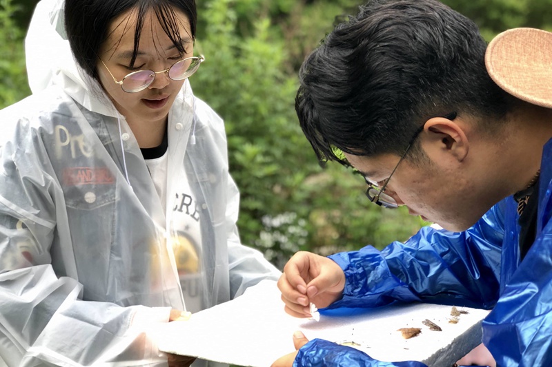 【教育•創客+三秦大地 西安+移動列表】西農學子秦嶺深處開展生物大實習：在山野中探求真知