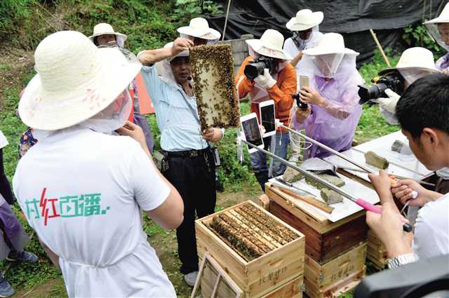 【區縣聯動】【秀山】重慶秀山：創新扶貧機制 鞏固脫貧成果