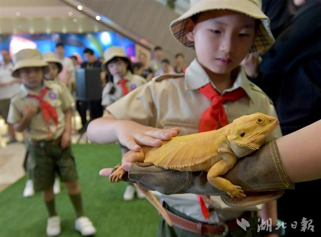 明星動物逗萌寶