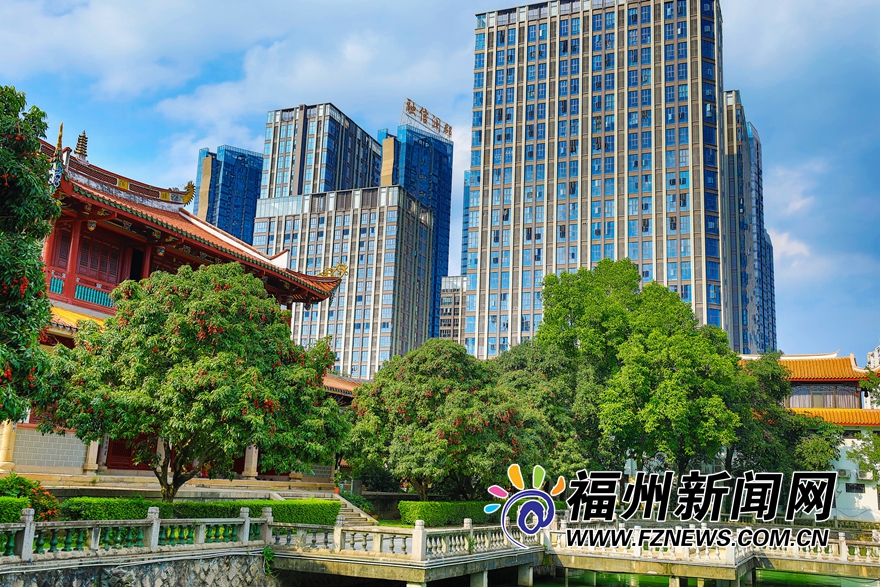 福州西禪寺：庭滿荔樹三百株 千年古剎荔枝香
