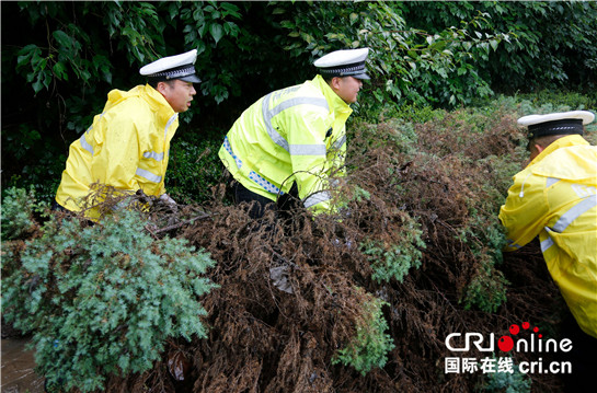 陜西渭南公安交警全力迎戰強降雨 確保道路暢通