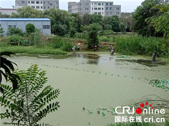 (供稿 三吳大地南京 社會廣角列表 移動版)南京作廠社區開展環境整治 建立美麗家園 (供稿 三吳大地南京 社會廣角列表 移動版)南京作廠社區開展環境整治 建立美麗家園