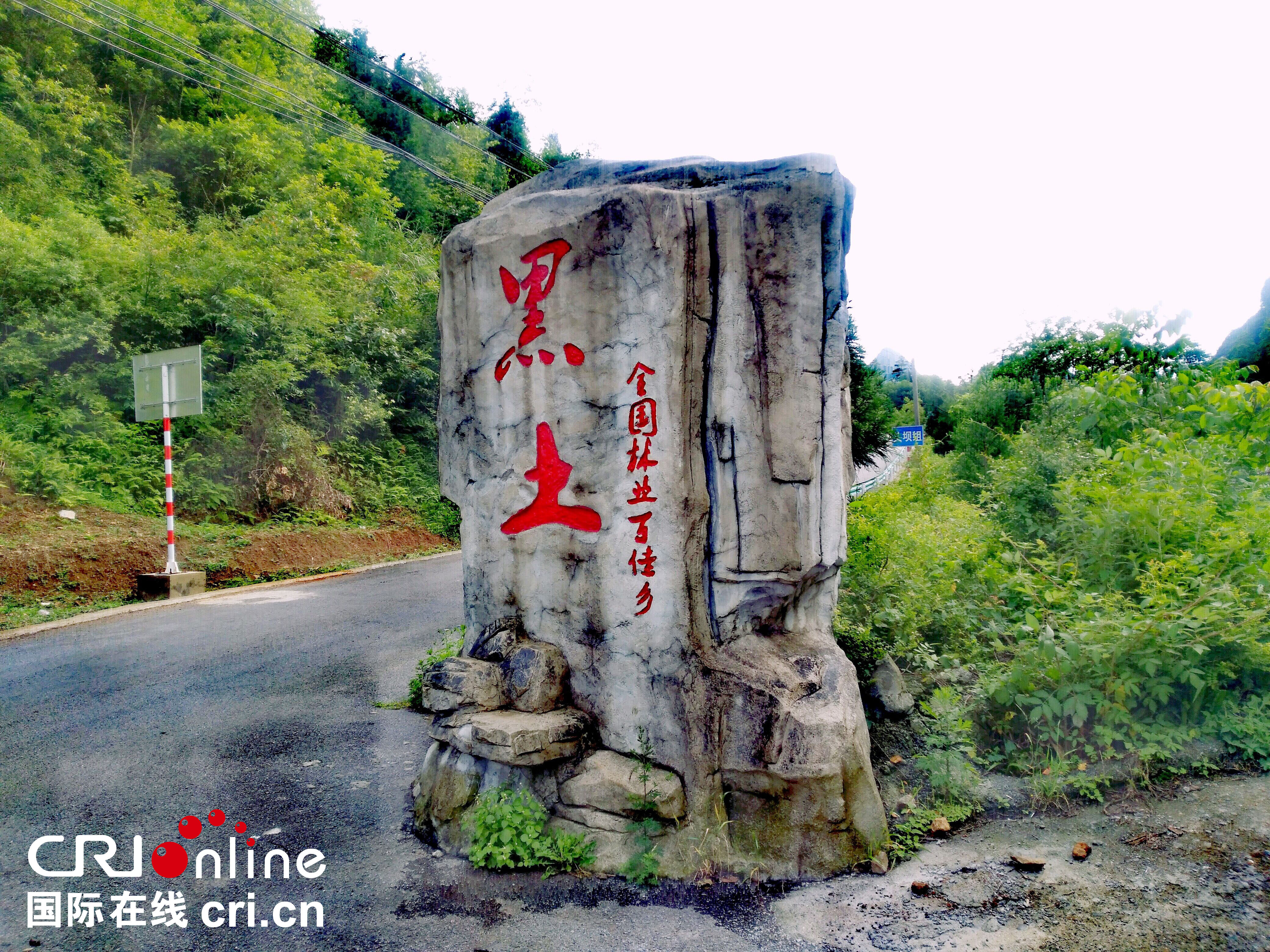 貴州織金箐口村 從毀林開荒到植樹護綠的生態樣板