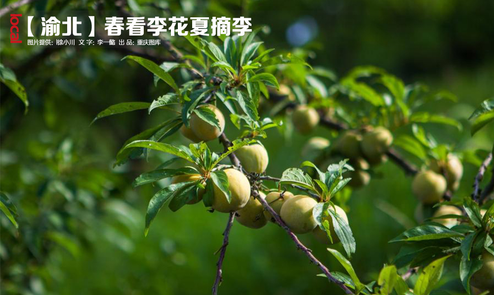 圖片默認標題_fororder_9d4947caa7a64a26904162db9f342b49