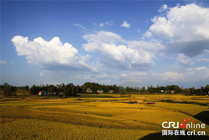 無邊欄【CRI專稿 圖文】重慶梁平首屆曬秋節8月5日啟幕【內容頁標題】曬秋看梁平 重慶梁平首屆曬秋節8月5日啟幕