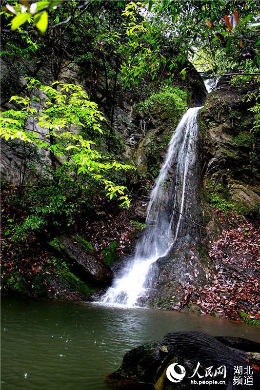 湖北竹溪：山泉流水溪中畫