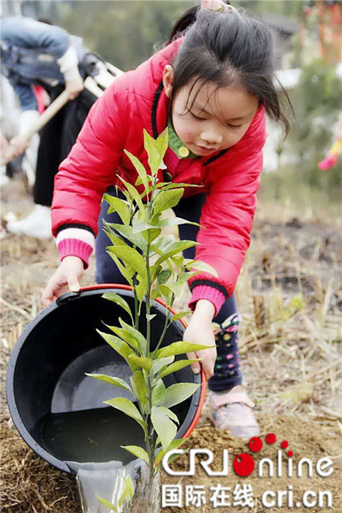 【社會民生列表】踐行綠色生態參與植樹造林 紜觀山莊添新綠
