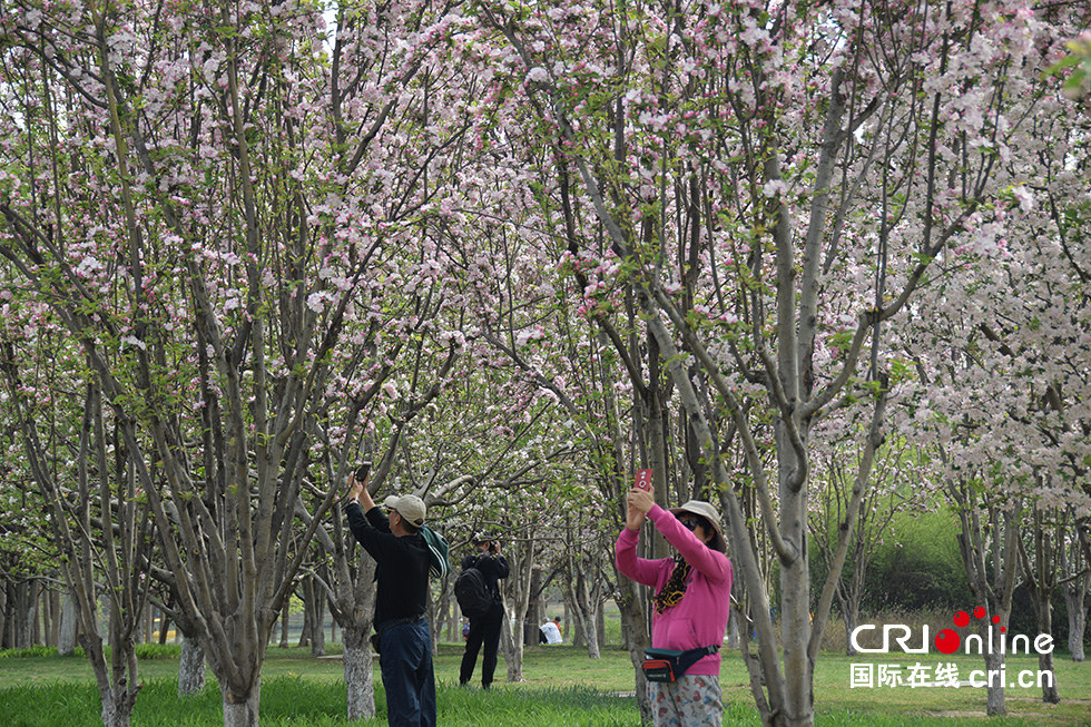 北京奧森公園春意濃 踏青賞花正當時(組圖)