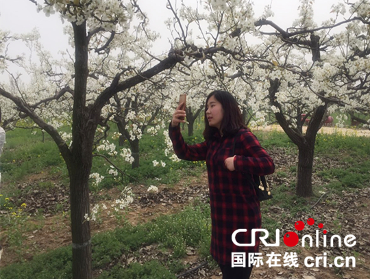 “石家莊市V影響力·現代省會行”走進美麗鄉村