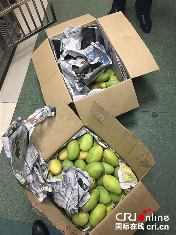 已過審【法制安全】重慶機場檢驗檢疫局截留兩箱境外自帶新鮮芒果