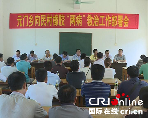 圖片默認標題