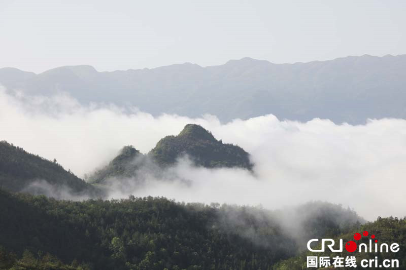 已過審【渝情渝景左豎圖】重慶巫山：雨後初霽雲霧奇觀