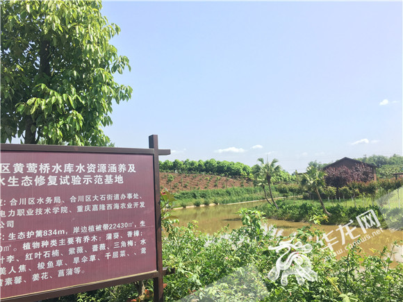 【區縣聯動】【合川】合川全面推行河長制 “臭水溝”將變“清水河”【區縣聯動】合川全面推行河長制 保障河庫生態安全