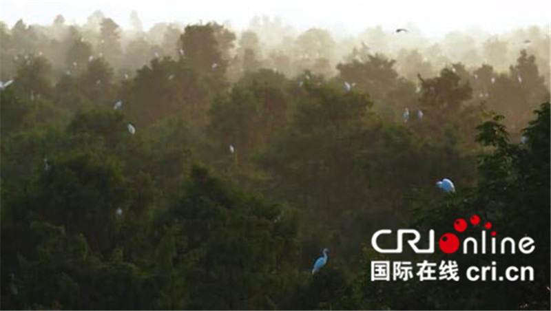 （已審 供稿 旅遊）（頁面標題）高郵魅力引全國重點媒體爭相報道（稿件標題)“全域旅遊 相約高郵”——高郵魅力引全國重點媒體爭相報道