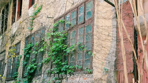 【渝中】迷路重慶森林,漫步"三層"馬路
