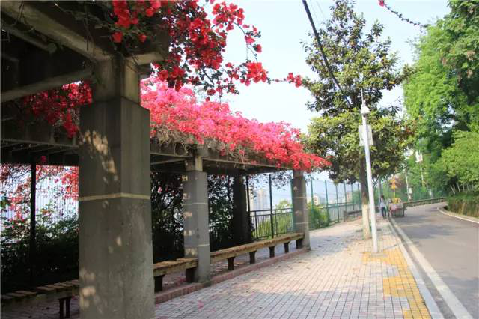 【渝中】迷路重慶森林,漫步"三層"馬路
