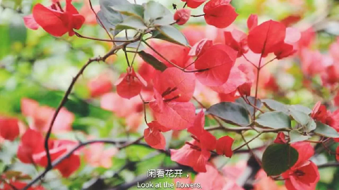 【渝中】迷路重慶森林,漫步"三層"馬路