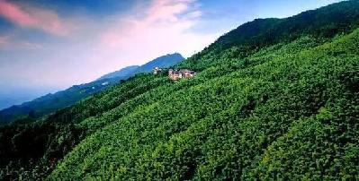 【行遊巴渝圖文】重慶各地招牌美景 哪個你最愛?