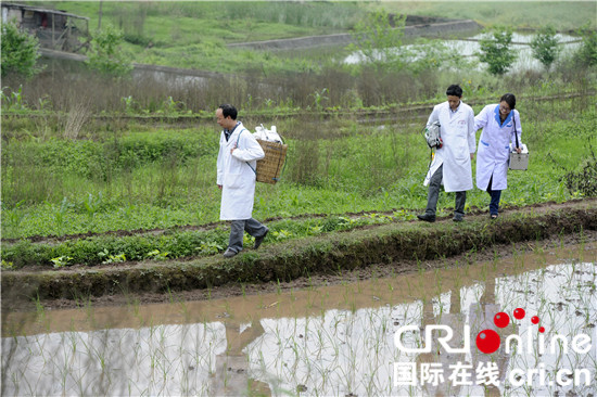 已過審【區縣聯動】【九龍坡】九龍坡“背篼”醫生為山區村民背出希望和健康【區縣聯動】九龍坡"背篼"醫生為山區村民背出健康