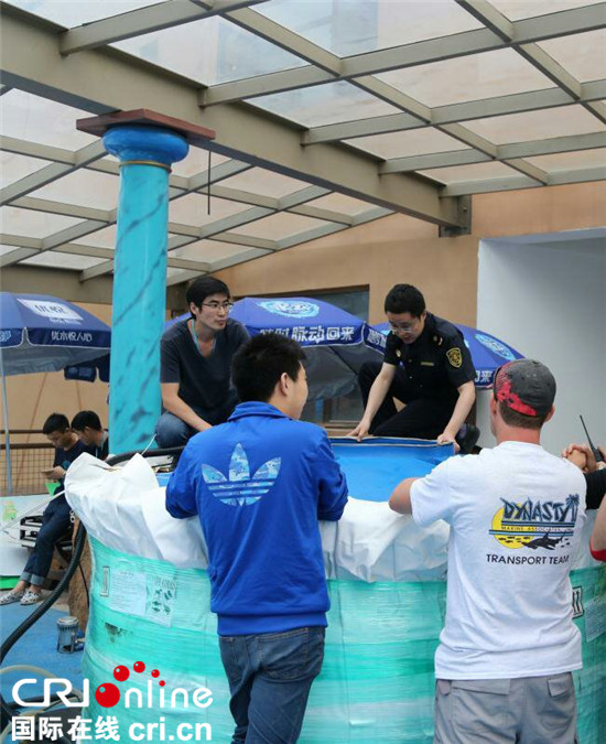 已過審【社會民生】6條窄頭雙髻鯊從美國弗羅裏抵達重慶