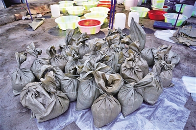 【法制安全】叢林暗藏制毒窩點 民警在懸崖上開闢抓捕通道