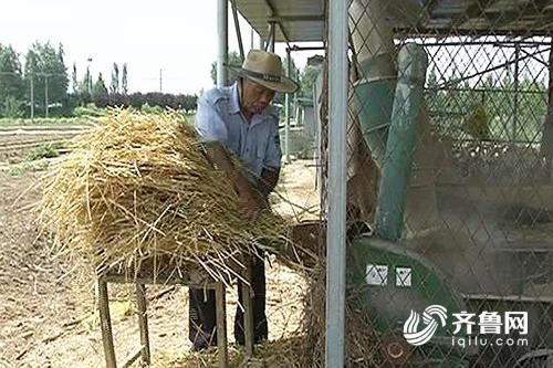 德州：創新秸稈利用方式 讓秸稈變廢為寶_fororder_3